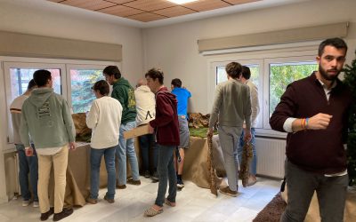 Montaje del Belén y decoración navideña